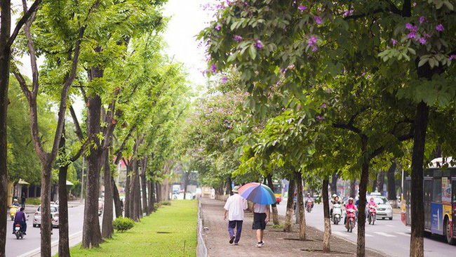 Dự báo thời tiết hôm nay 31/8: Mưa tại Hà Nội giảm nhanh từ trưa, chiều