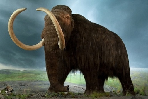 “Công viên kỷ Jura” sắp ra mắt tại Nga với sự