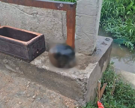 Tin tức thời sự 24h mới nhất ngày 1/9/2018: Kinh hãi phát hiện hộp sọ người bên lạch nước