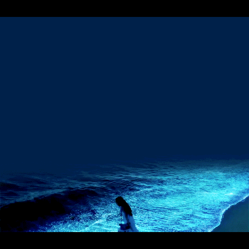 Video thiên nhiên kì thú 4: Bãi biển phát sáng tuyệt đẹp tại Maldives