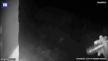 Clip: Bé 20 tháng tuổi sống sót kỳ diệu sau 5 ngày bị lạc trong rừng