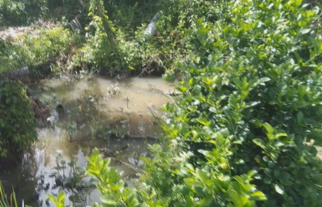 Tin tức thời sự 24h mới nhất ngày 12/9/2018: Mẹ chết thảm vì vướng vào dây điện bẫy chuột của con trai