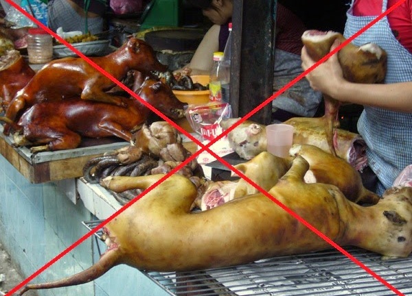 Hà Nội muốn người dân từ bỏ thói quen ăn thịt chó, mèo