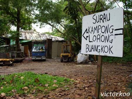 Video: Ngắm ngôi làng 