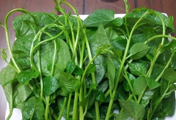 Trị táo bón cho trẻ bằng phương pháp dân gian đơn giản tại nhà