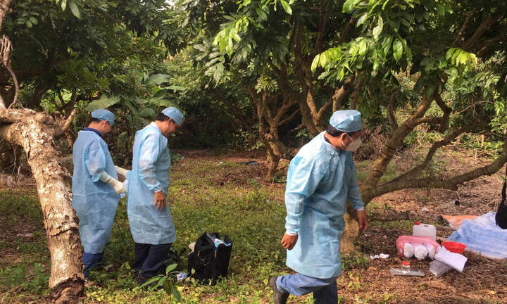 Bình Thuận: Hốt hoảng khi phát hiện thi thể đầu lìa khỏi thân mình