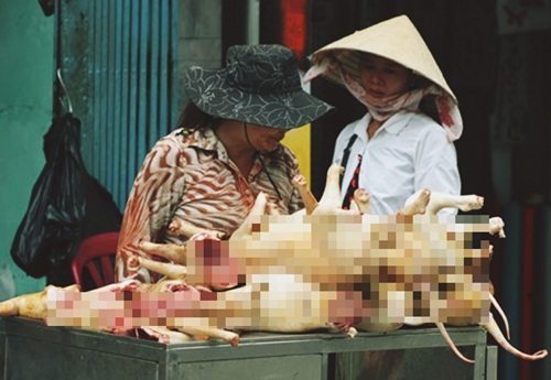 Hà Nội tuyên truyền không ăn thịt chó