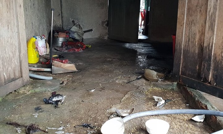 Người đàn ông tưới xăng vào bạn gái rồi ôm chặt, châm lửa tự thiêu