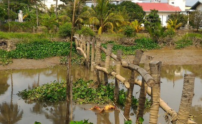 Điều tra vụ xác chết lõa thể của một phụ nữ trong thùng chứa nước ở Sóc Trăng