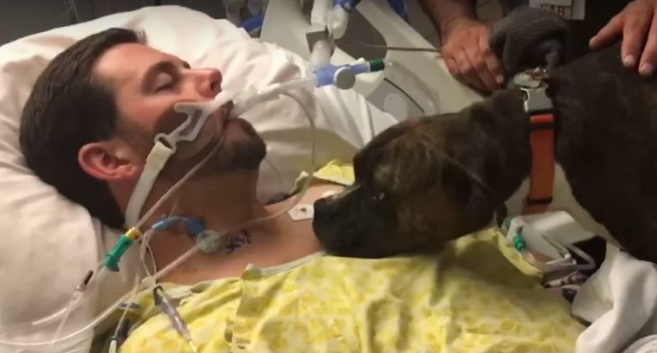 Video: Khoảnh khắc chia ly đầy cảm động của chú chó với người chủ đang hấp hối