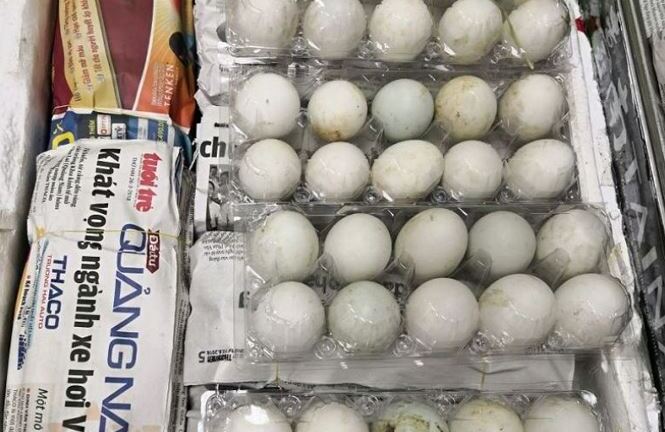 Cụ bà U70 bị phạt hơn 110 triệu vì mang trái phép 490 quả trứng vịt lộn vào Singapore