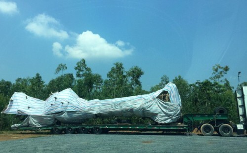 Tin tức thời sự 24h mới nhất ngày 8/10/2018: Tiết lộ sốc về cây 