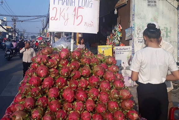 Thanh long Bình Thuận rớt giá, 