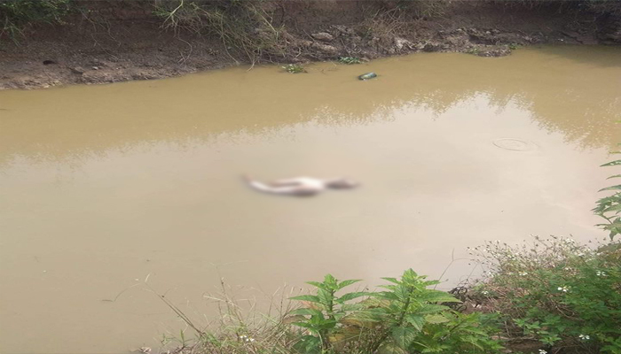 Hà Nội: Phát hiện thi thể người đàn ông khỏa thân dưới máng nước 