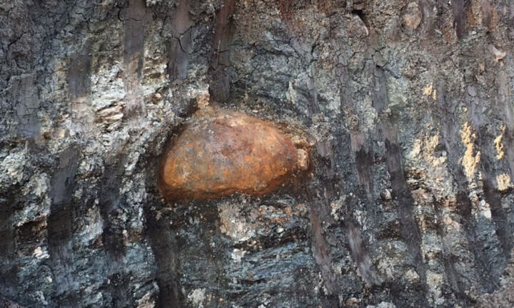 Công nhân mỏ đá hoảng hồn phát hiện quả bom dài hơn 1m 