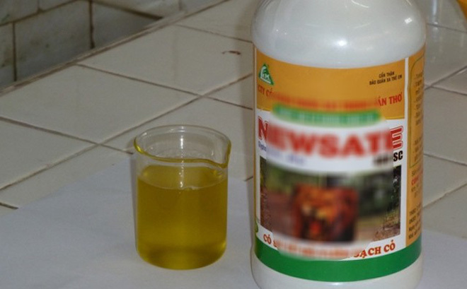 Nữ giáo viên cho con uống thuốc diệt cỏ bị truy tố tội giết người