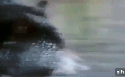 Cuộc chiến sinh tồn: Nghẹt thở xem báo sư tử quyết chiến gấu đen