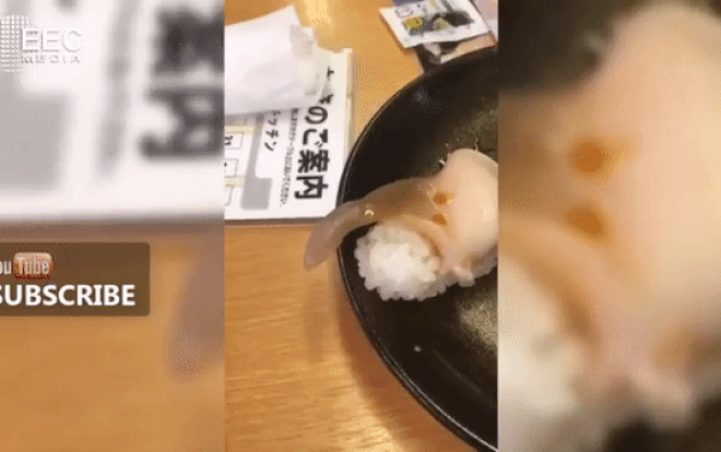 Video: Thực khách “thất kinh” nhìn con nghêu ngọ nguậy trên miếng sushi
