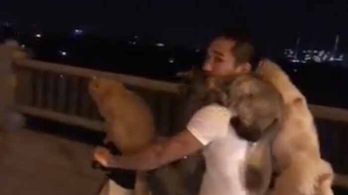 Video: Hãi hùng màn chở chó, mèo bấu víu của thanh niên đầu trần