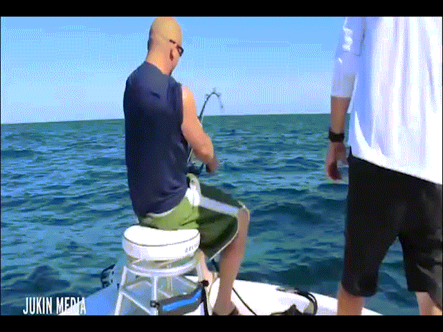 Video: Cá khổng lồ kéo phăng người đi câu xuống biển