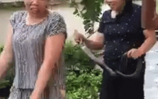 Video: Kinh hãi cảnh chó pitbull cắn cổ chó husky mãi không chịu nhả