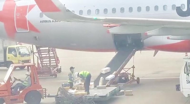 Sa thải 2 nhân viên bốc xếp ném hàng hóa của khách ở sân bay Tân Sơn Nhất