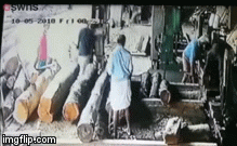 Mặc áo đỏ, nam thanh niên bị bò đuổi ngã vào lưỡi cưa, đứt lìa bàn tay