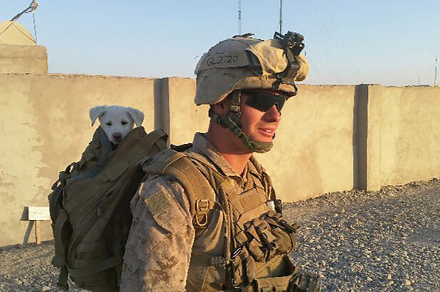 Xả súng khiến 13 người chết tại Mỹ: Nghi phạm từng là lính Thủy quân lục chiến