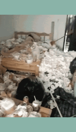 Kinh hãi cô gái ngủ ngon lành trong căn phòng ngập ngụa rác