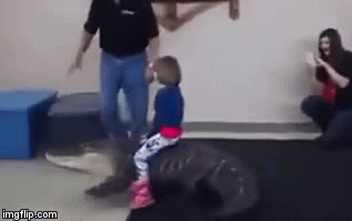 Video: Liều lĩnh cho con gái 7 tuổi cưỡi cá sấu trong tiệc sinh nhật