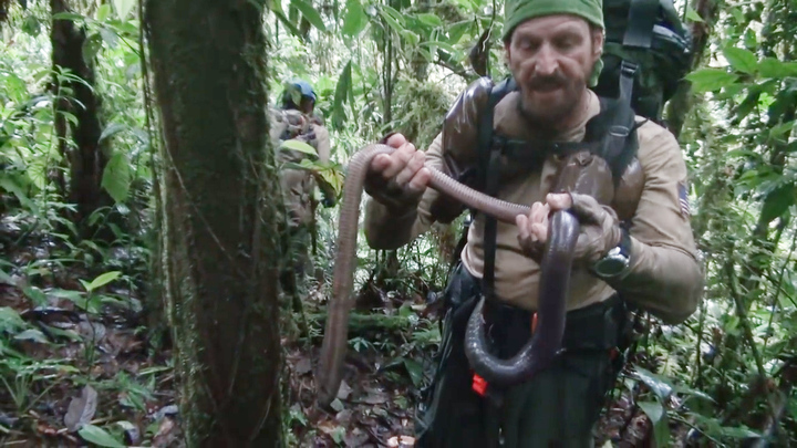 Video: Giun đất khổng lồ Gippsland dài tới 2m