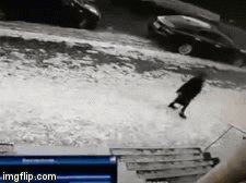 Video: Cụ bà chết tức tưởi vì bị tảng băng rơi trúng đầu