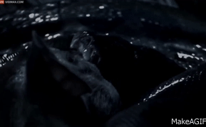 Video: Sát thủ trăn gấm