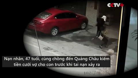 Video: Người phụ nữ bị liệt vì chó từ tầng 2 bất ngờ rơi trúng đầu