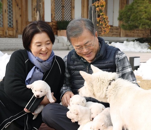 'Quốc khuyển' Triều Tiên tặng Hàn Quốc sinh 6 chó con