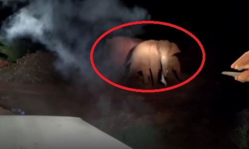 Video: Voi rừng đột nhập lò gạch giữa đêm, bị người dân dùng pháo sáng xua đuổi