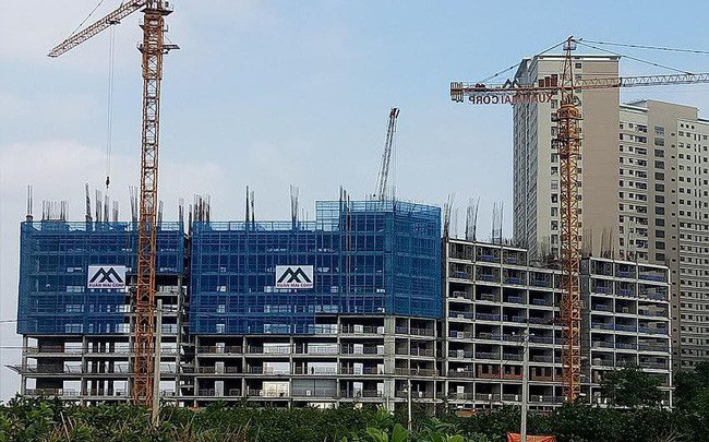 Xuân Mai (XMC): Lợi nhuận trước thuế 6 tháng đầu năm tăng 72%