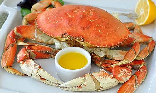 Hơn triệu đồng một con cua đá Canada, nhà giàu Việt vẫn mạnh tay