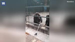 Video: Tinh tinh nhẹ nhàng “khuyên bảo” bạn trả gậy selfie cho khách