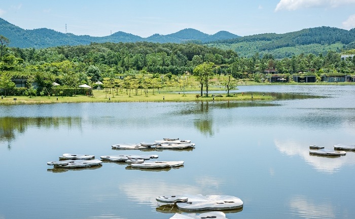 Art In The Forest 2018 – Nuôi dưỡng giá trị nghệ thuật chân chính