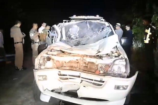 Kinh hoàng cảnh voi nổi giận giẫm chết tài xế vì bị tông trúng chân