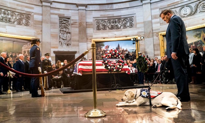 Video: Chú chó săn Sully lưu luyến tiễn đưa cố Tổng thống Bush