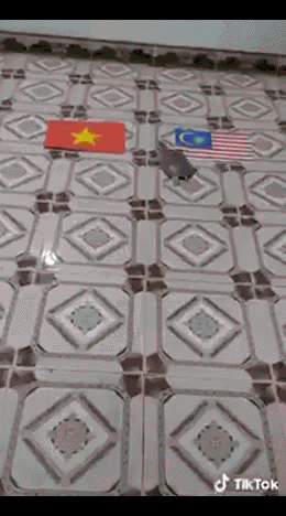 Video: Chuyển hướng đoán Việt Nam thắng Malaysia, ba ba 