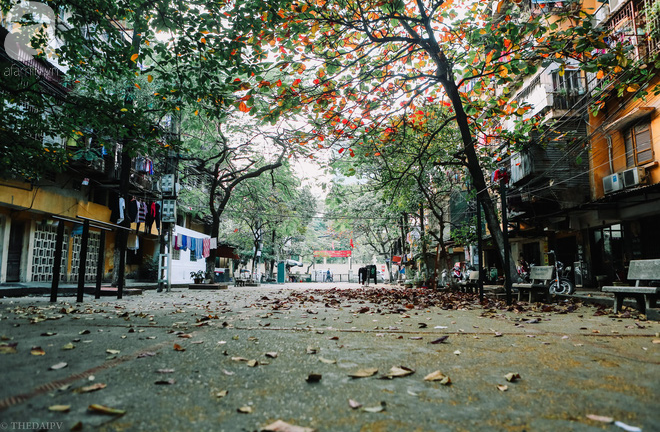 Thời tiết Tết Dương lịch 2019: Miền Nam nắng đẹp, Bắc Bộ mưa rét vì không khí lạnh