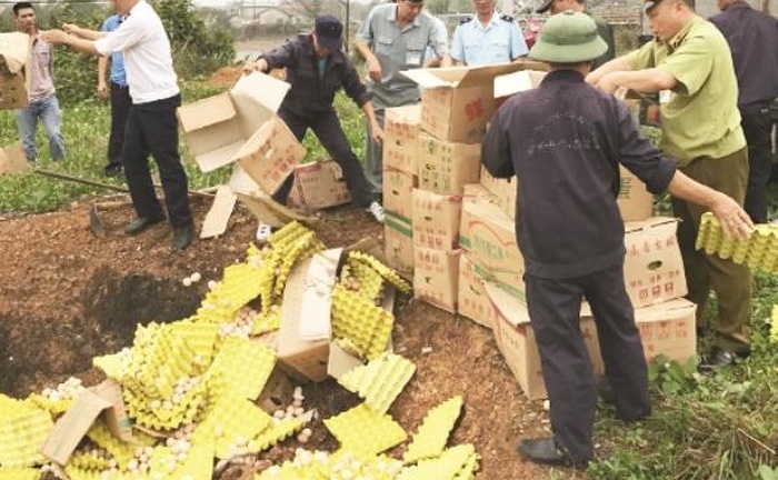 Tăng cường kiểm tra, kiểm soát chống buôn bán, vận chuyển gia cầm, trứng gia cầm nhập lậu