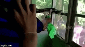 Video: Dân văn phòng hốt hoảng vì trăn bò vào tận nơi làm việc