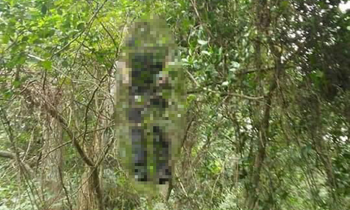 Tin tức thời sự 24h mới nhất ngày 23/12/2018: Tá hỏa phát hiện người chết treo cổ cùng thư tuyệt mệnh