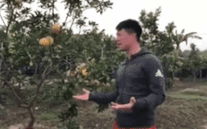 Video: Cầu thủ Đình Trọng 