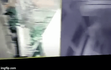 Video: Chạy thục mạng khi chó đuổi theo lúc nửa đêm, thanh niên bị ô tô tông chết