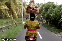 Video: Đội cả “núi” trái cây trên đầu, người phụ nữ vẫn chạy xe bon bon trên đường